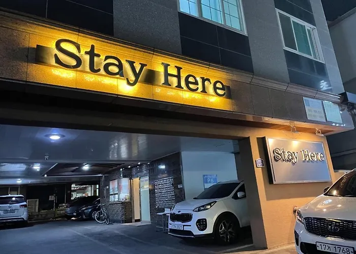Stay Here