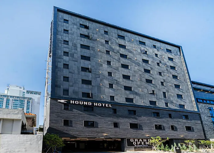 Busan Hound Hotel Daeyeon
