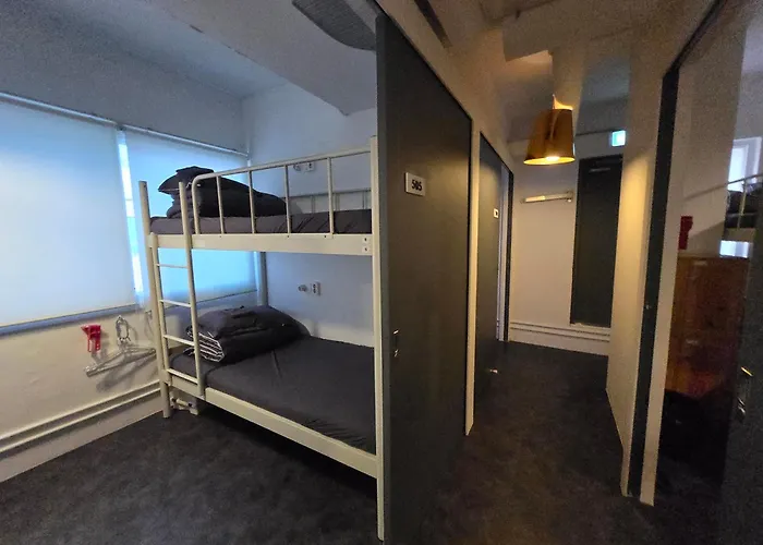 Check N Out Hostel