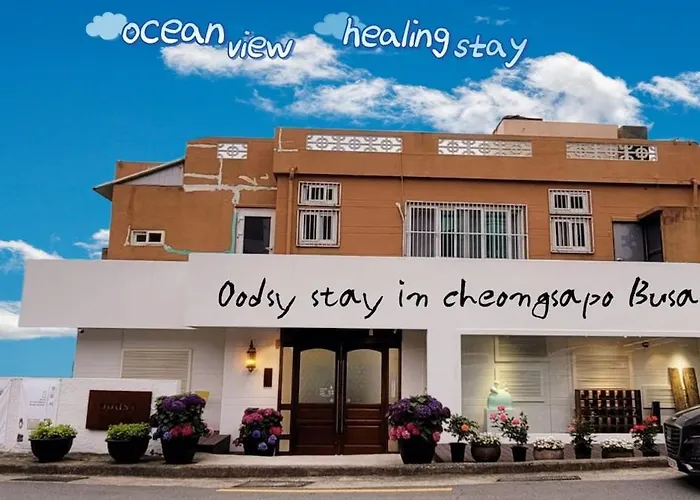 #Rooftopgarden#Rooftopbbq #Capsuletrain #Healingstay #Haeundaebeach #Cheongsapo #Aesthetichousing #Restaurant #Streetcat